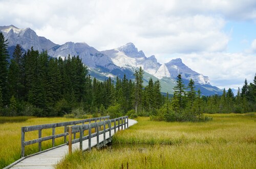AAIP 2026: todo lo que necesita saber sobre la nominación provincial de Alberta