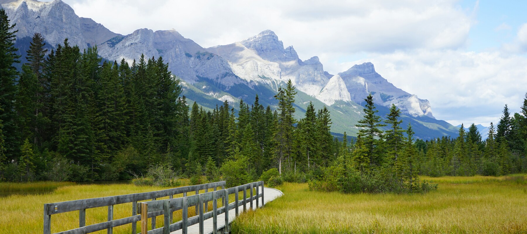 AAIP 2026: todo lo que necesita saber sobre la nominación provincial de Alberta
